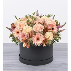 Peach Sherbet Hatbox