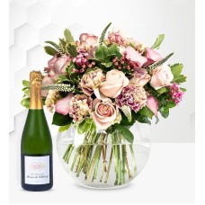 Orion & Champagne (Standard)