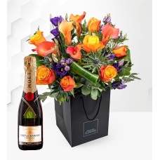 Luxury Tikal & Moet (Standard)