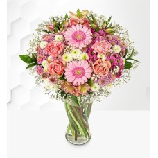 Rose Serenade (Standard)