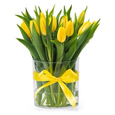 Yellow Tulips