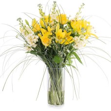 Spring Lilies