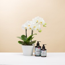 Orchid & The Gift Label - Have a Great Day Gift Set