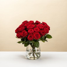 Red Roses