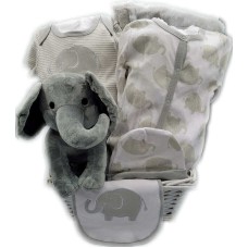 Crazy elephant