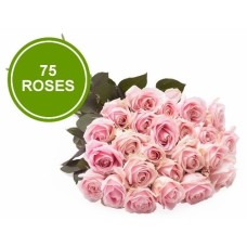 Bouquet 75 Large Pink Roses