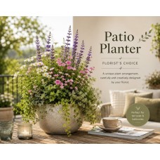 Patio arrangement "Summer" Florist Choice (Small)