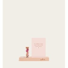 Letterbox gift Wish flowers Pink
