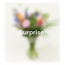 Surprise bouquet Flowers Friends