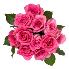 12 Pink Roses