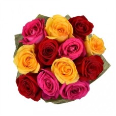 12 Mixed Roses