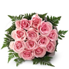12 Pink Roses