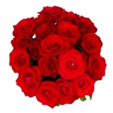 18 Red Roses