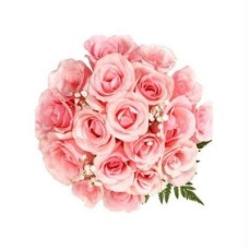 18 Pink Roses