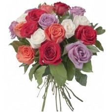 18 Mixed Roses