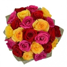 24 Mixed Roses