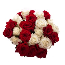 24 Red and White Roses