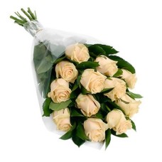 12 Cream Roses
