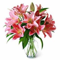Pink Lilies in Glass Vase