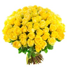 Bouquet of 101 yellow roses