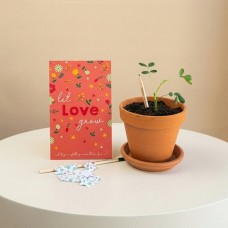 Plant-on pencils - Let Love Grow + confetti