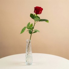 Red Rose | Incl. vase