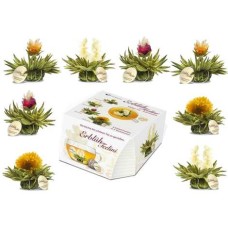 Box of 8 "Abloom Tealini" white tea flowers