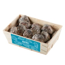The oyster basket