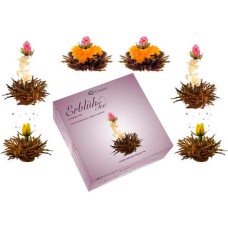 Black tea flowers