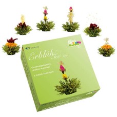 Box of 6 flavored green tea flowers