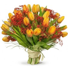 A bouquet of cordial tulips