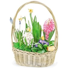 Spring composition (Medium (recommended))