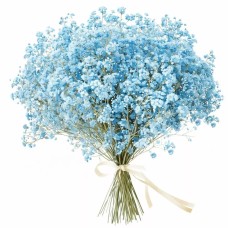 Bouquet of pink gypsophila (Small)