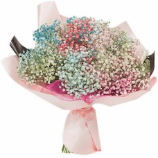 Bouquet of colored gypsophila (Small)