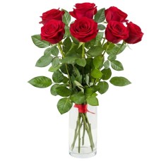 7 red roses