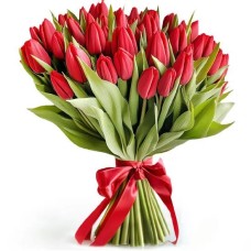 Love tulips (Small)