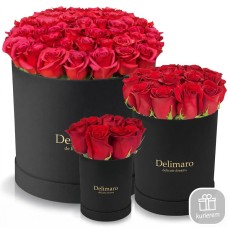 Red roses in a black box (Small)