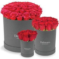 Red roses in a gray box (Small)