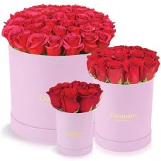 Red roses in a pink box (Small)