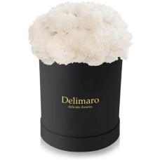 White carnations in a black box (Small)