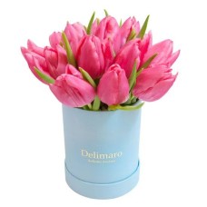 Pink tulips in a blue box (Small)