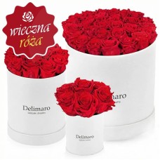Eternal red roses in black gift box