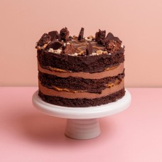 Chocolate Squidge Cake (6
