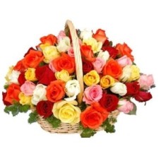 50 roses