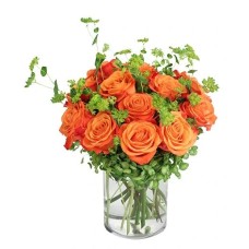 Timeless Tangerine (Standard)