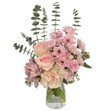 Wispy Pinks (Deluxe)