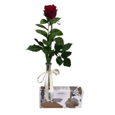 Especially for You