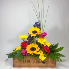 The Fox Box