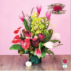 Beretania's Bishop Tropical Arrangement (Standard)