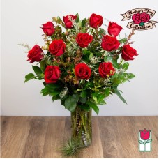 Beretania's Extra Long Stem Red Rose Masterpiece (Standard)